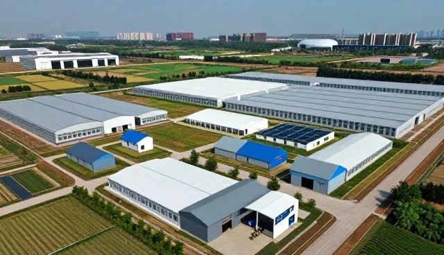 远程协作模式下的信息化项目实施性能考量